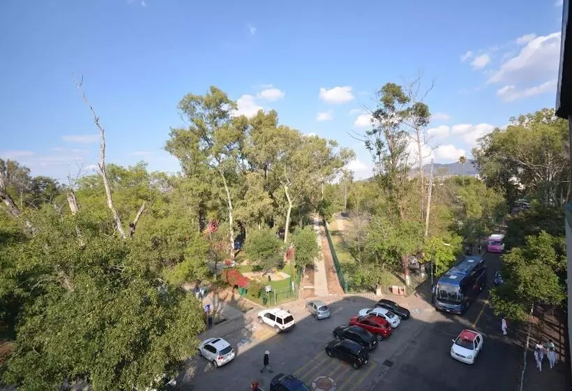 Fotos del hotel Diana Del Bosque By Dot Urban:  12