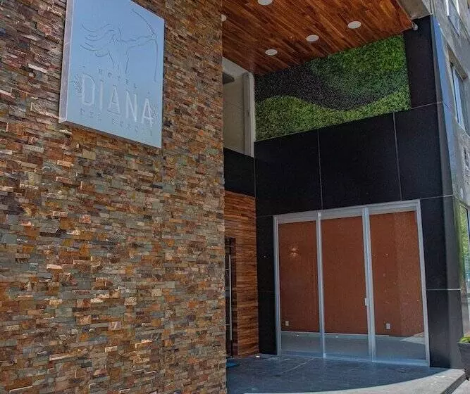 Fotos del hotel Diana Del Bosque By Dot Urban:  23