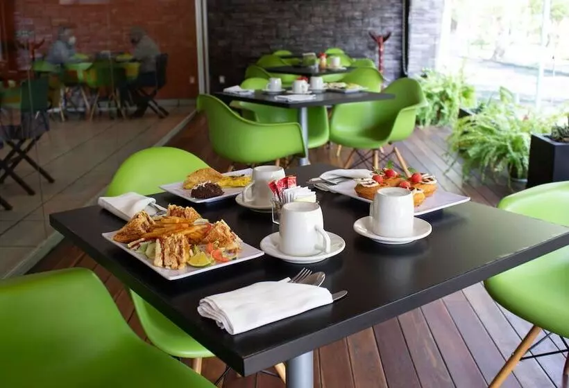 Fotos del hotel Diana Del Bosque By Dot Urban:  16