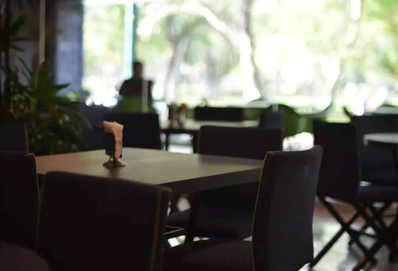 Fotos del hotel Diana Del Bosque By Dot Urban:  9