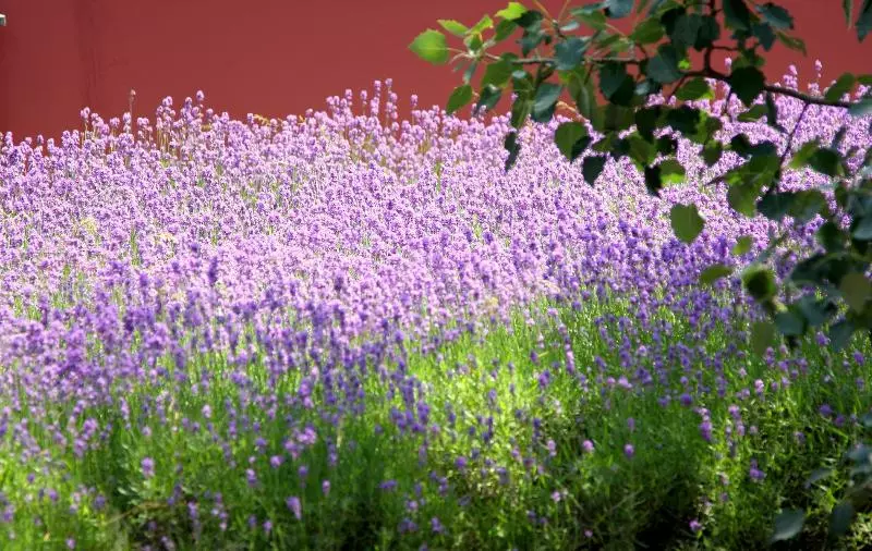 Fotos del hotel Boutiquehotel Stadthalle:  17