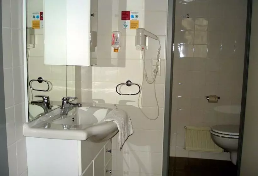 Fotos del hotel Boutiquehotel Stadthalle:  19