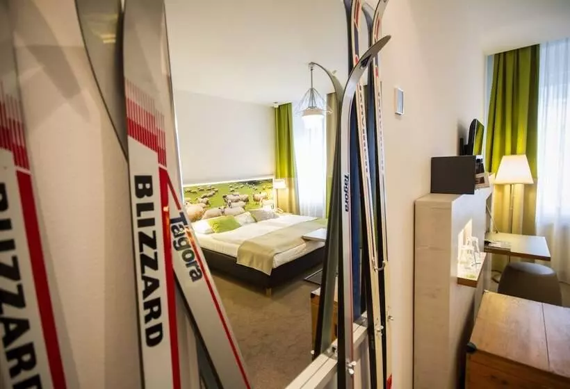 Fotos del hotel Boutiquehotel Stadthalle:  20