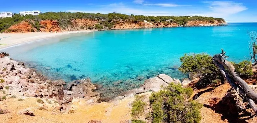 Fotos del hotel Cala Llenya Resort Ibiza:  5