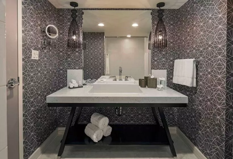 Fotos del hotel Royal Sonesta Washington Dc Dupont Circle:  7