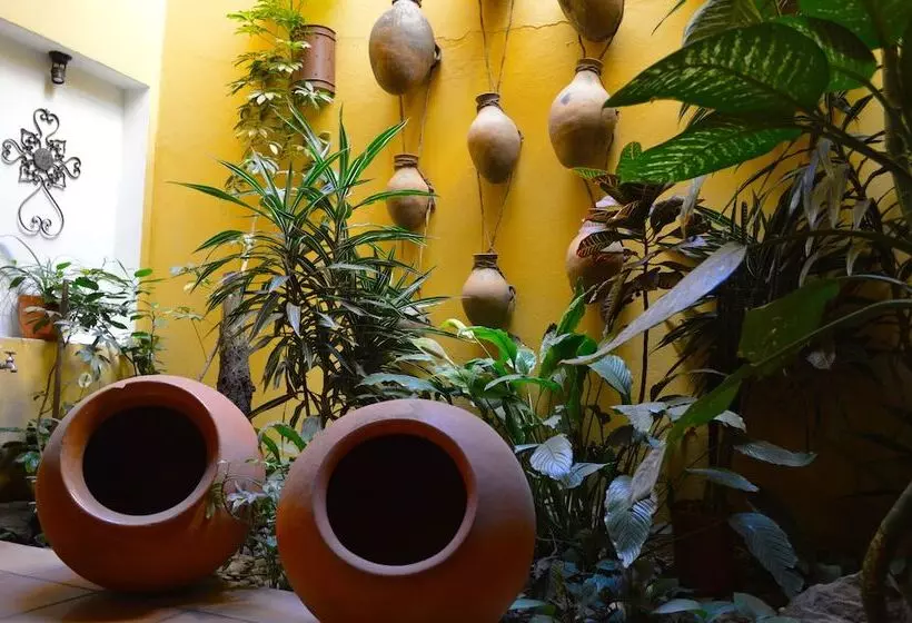 Fotos del hotel Casa Divina Oaxaca:  7