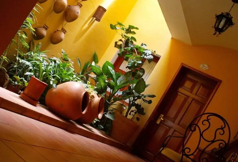 Fotos del hotel Casa Divina Oaxaca:  2