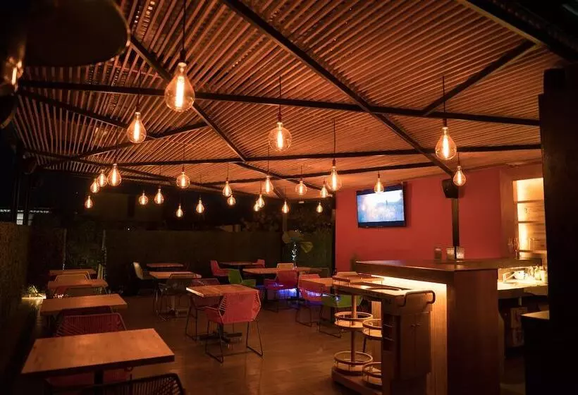 Fotos del hotel Casa Divina Oaxaca:  5