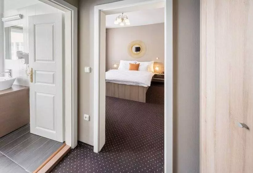 Fotos del hotel U Kocku:  12