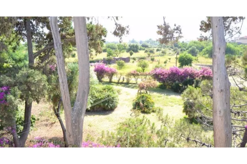 Fotos del hotel Porto Azzurro:  8