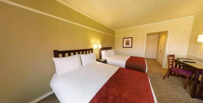 Fotos del hotel Southern Sun Bloemfontein:  15