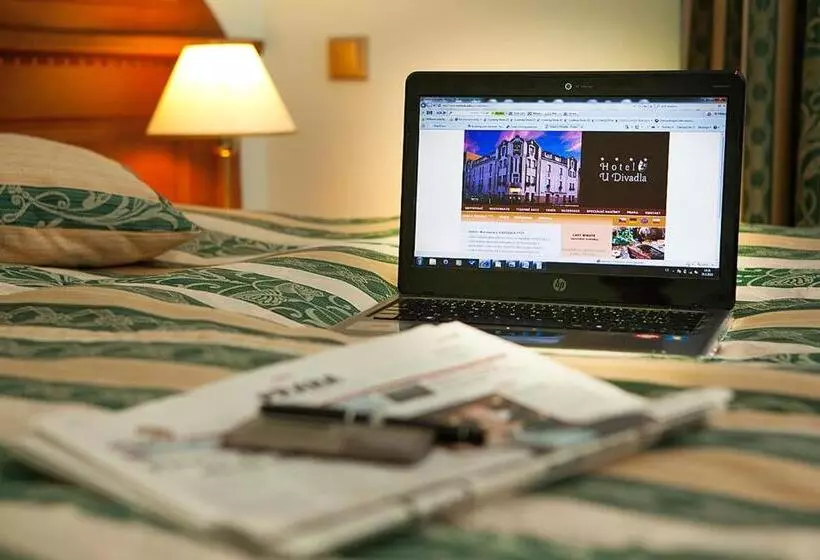 Fotos del hotel U Divadla:  21