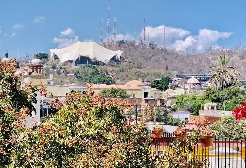 Fotos del hotel Parador Del Dominico:  4