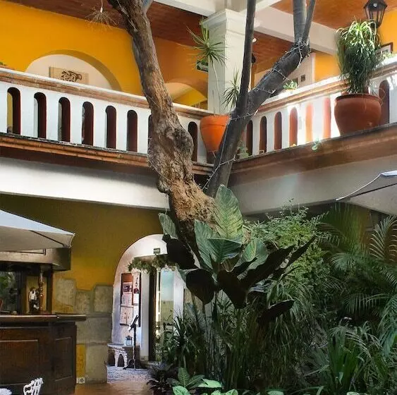 Parador Del Dominico