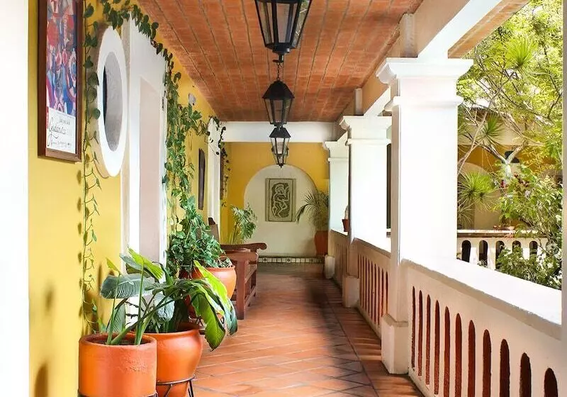 Fotos del hotel Parador Del Dominico:  14