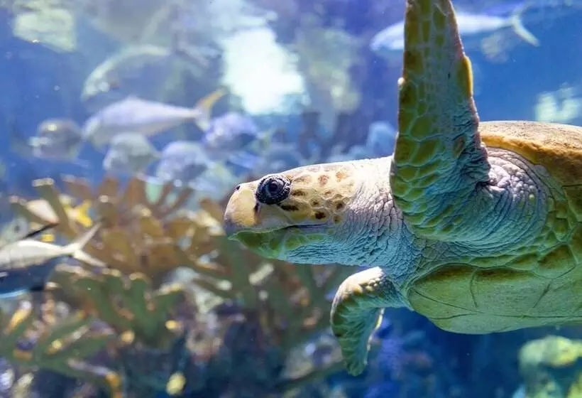 Fotos del hotel The Westin Boston Seaport District:  9