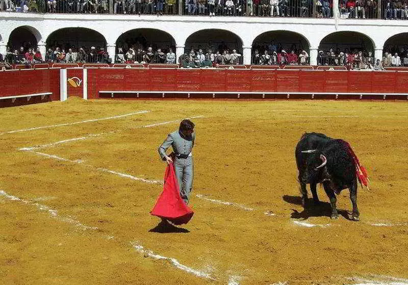 Fotos del hotel Hotel Plaza de Toros:  5