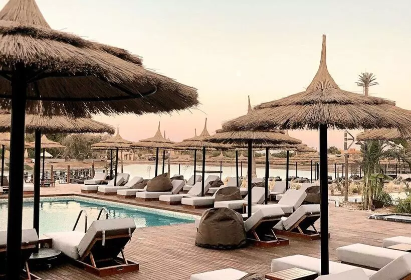 Fotos del hotel Cook's Club El Gouna:  24