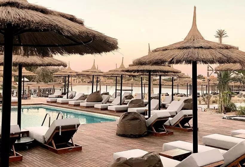 Fotos del hotel Cook's Club El Gouna:  23