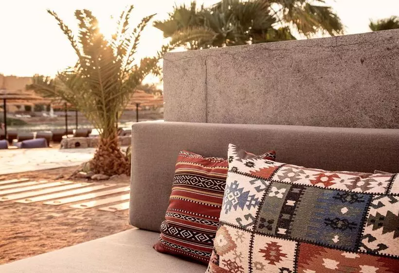 Fotos del hotel Cook's Club El Gouna:  14