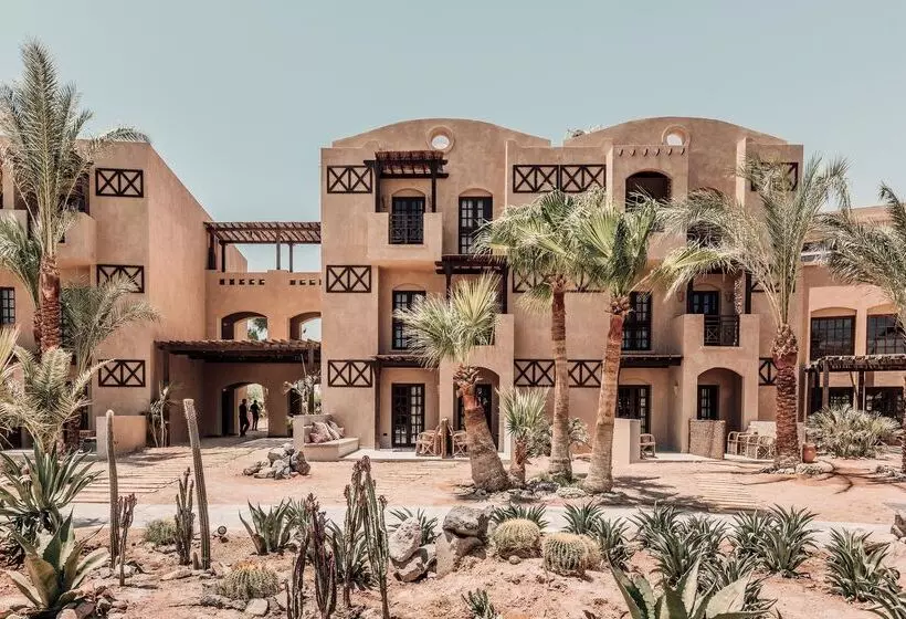 Fotos del hotel Cook's Club El Gouna:  7