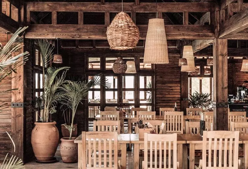 Fotos del hotel Cook's Club El Gouna:  4