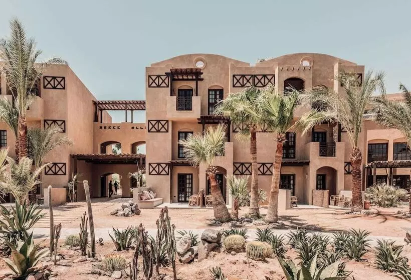 Cook’s Club El Gouna