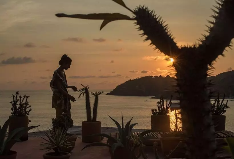 Fotos del hotel La Casa Que Canta:  25