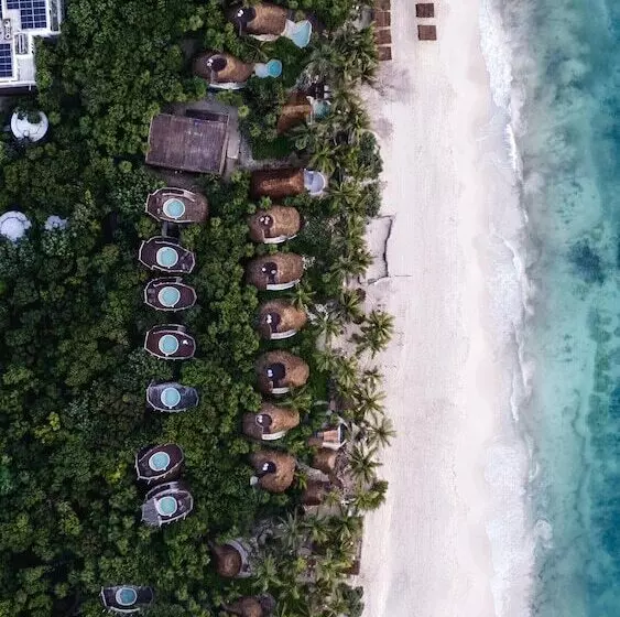 Fotos del hotel Papaya Playa Project:  5