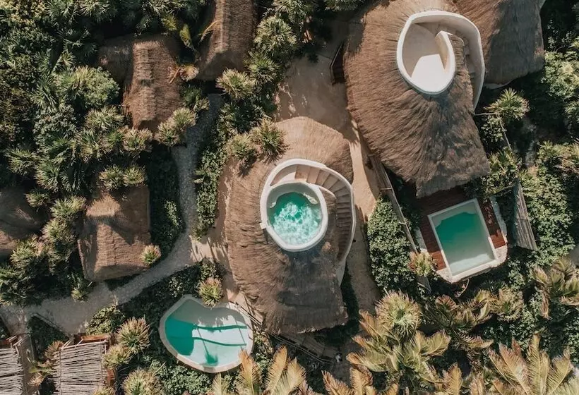 Fotos del hotel Papaya Playa Project:  6