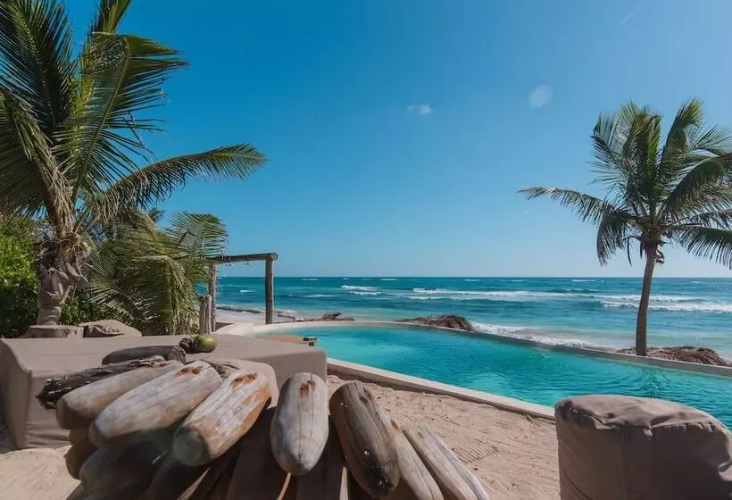 Fotos del hotel Papaya Playa Project:  10