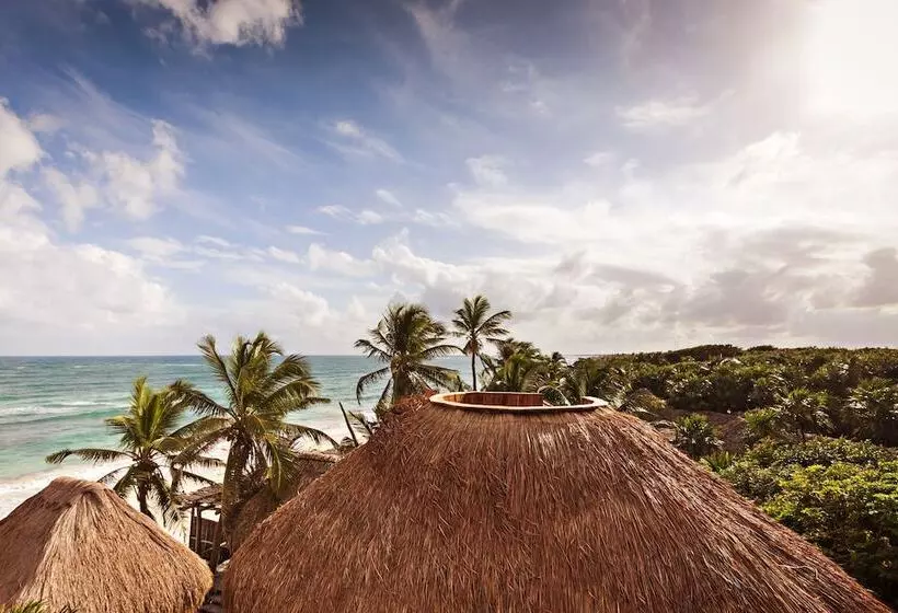 Fotos del hotel Papaya Playa Project:  22