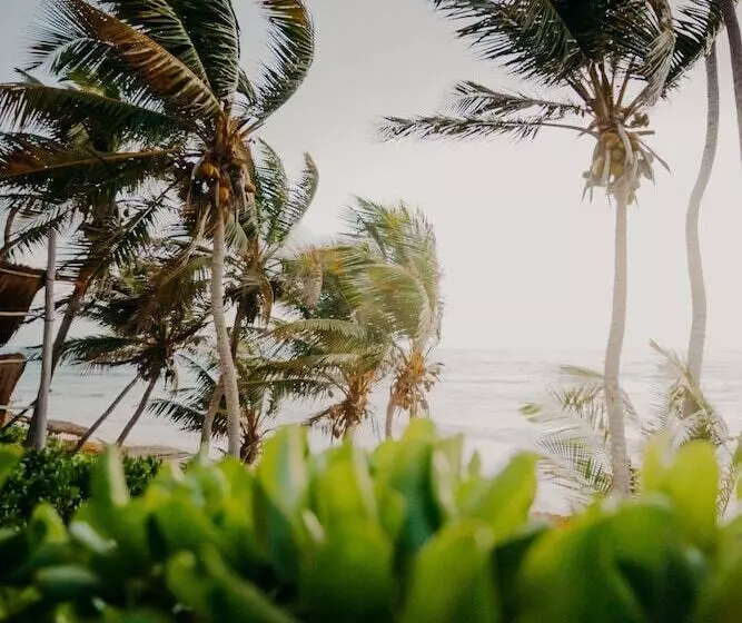 Fotos del hotel Papaya Playa Project:  14