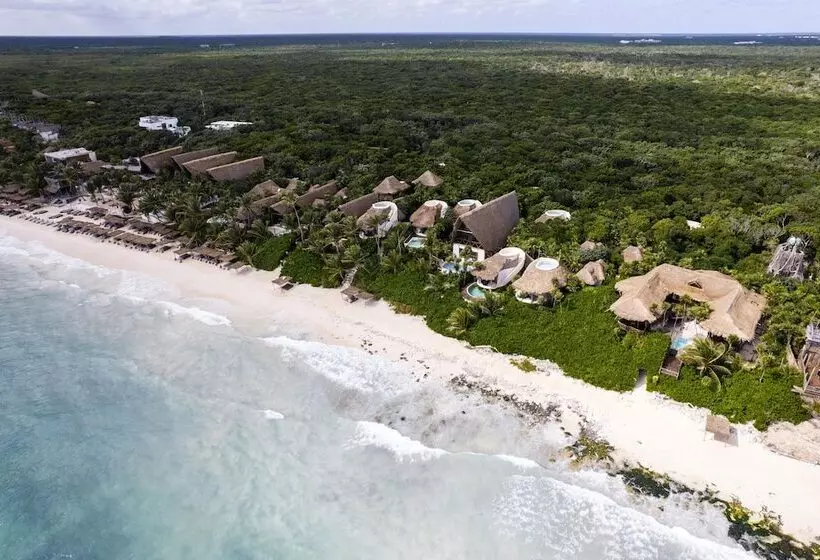 Fotos del hotel Papaya Playa Project:  17