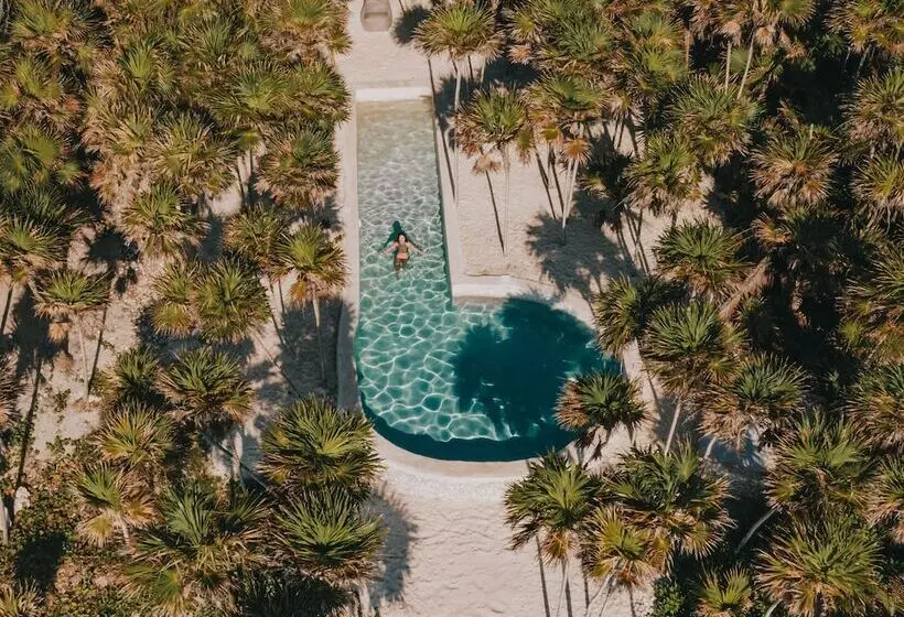 Papaya Playa Project