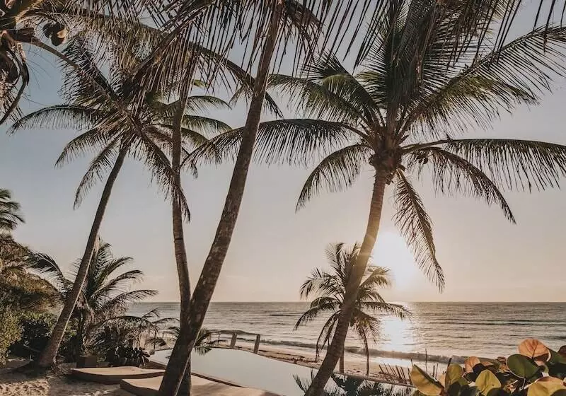 Fotos del hotel Papaya Playa Project:  20