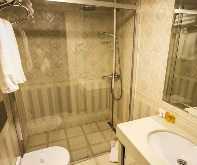 Fotos del hotel Deluxe Golden Horn Sultanahmet:  16