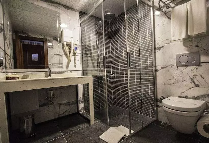 Fotos del hotel Deluxe Golden Horn Sultanahmet:  6