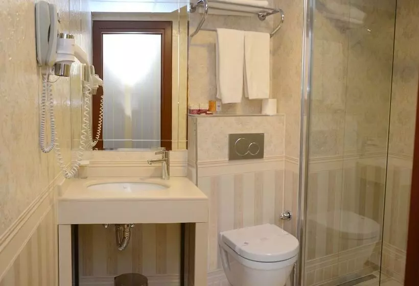 Fotos del hotel Deluxe Golden Horn Sultanahmet:  13
