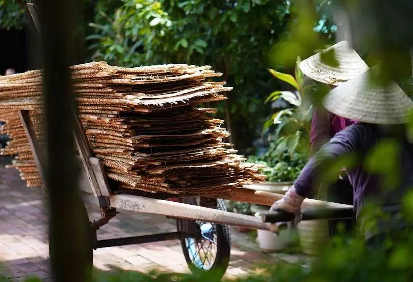 Fotos del hotel Hoi An Ancient House Resort & Spa:  7