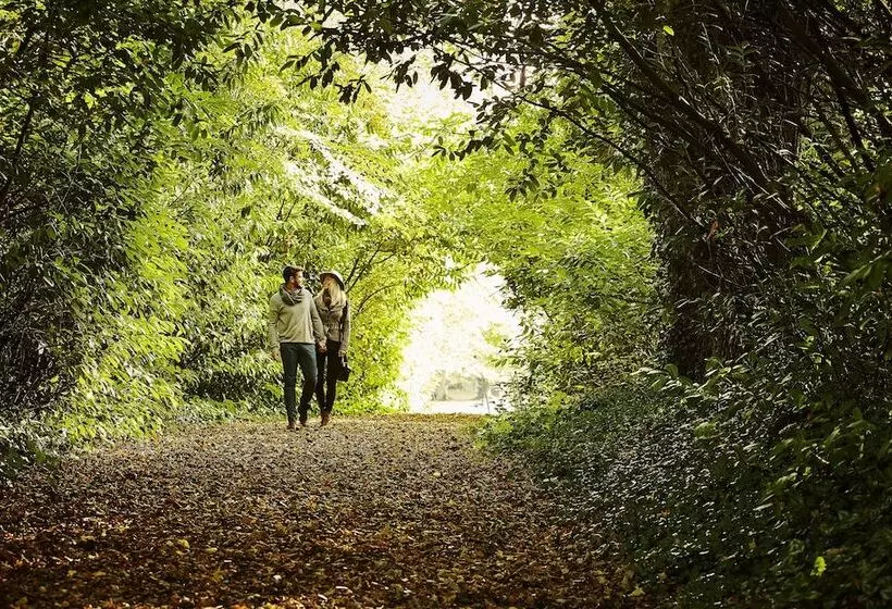 Fotos del hotel Lyrath Estate:  5