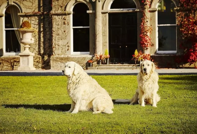 Fotos del hotel Lyrath Estate:  10