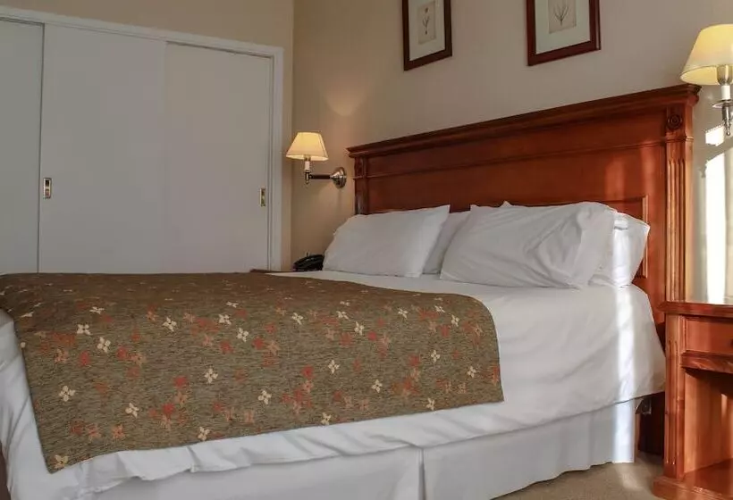 Fotos del hotel Terrazas Del Calafate:  14