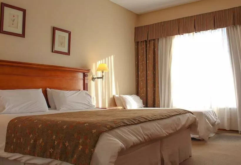 Fotos del hotel Terrazas Del Calafate:  18