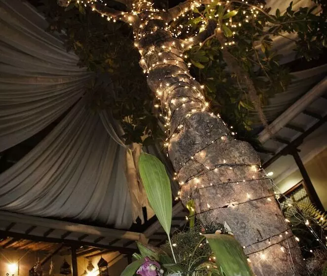 Fotos del hotel Boutique Santa Lucia:  11