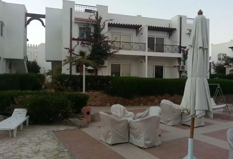 Fotos del hotel Logaina Sharm Resort:  5