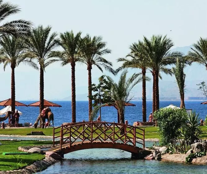 Fotos del hotel Movenpick Taba Resort & Spa:  18