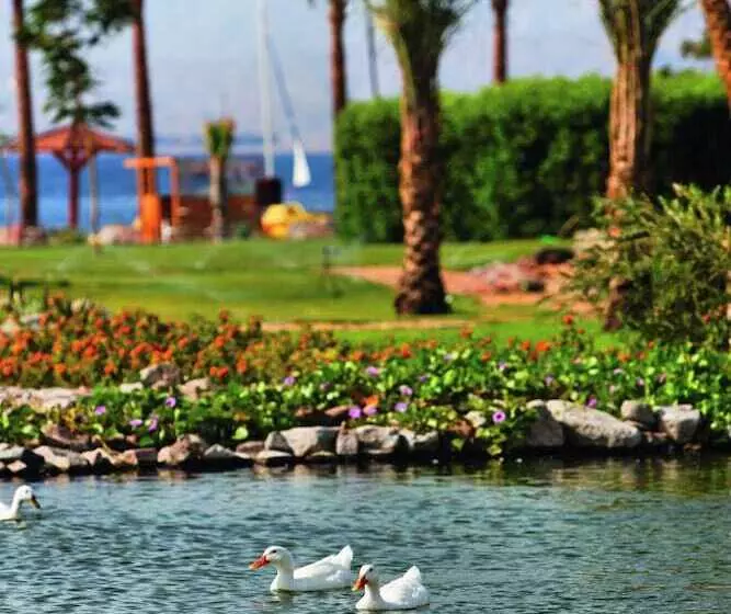 Fotos del hotel Movenpick Taba Resort & Spa:  2