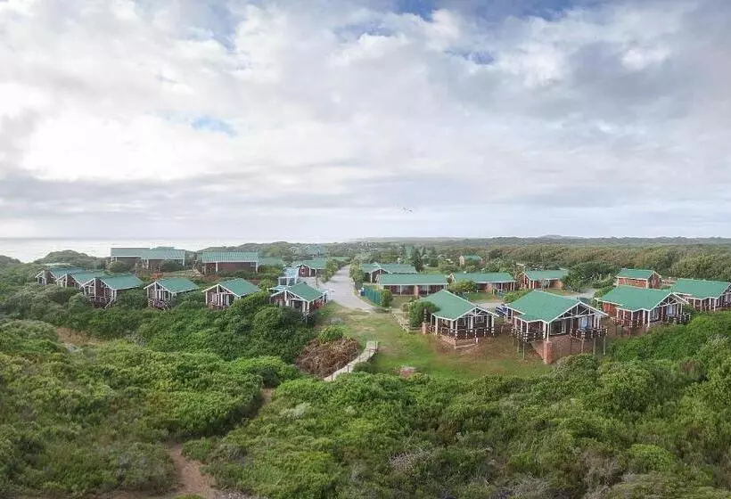 Fotos del hotel Pine Lodge Resort:  16