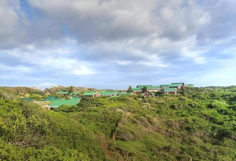 Fotos del hotel Pine Lodge Resort:  21